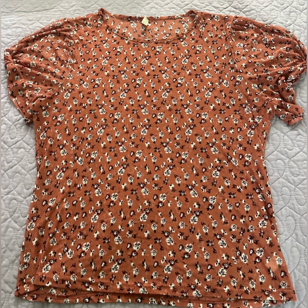 Sheer Top
